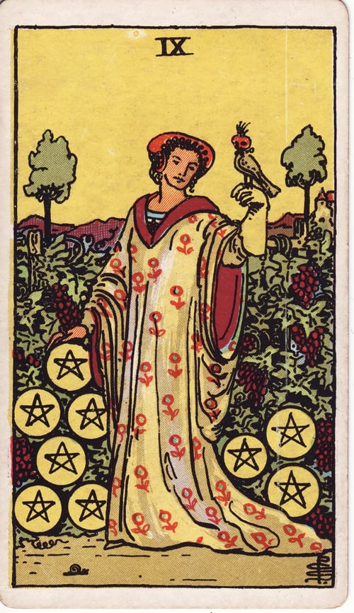 Nine of Pentacles tarot card